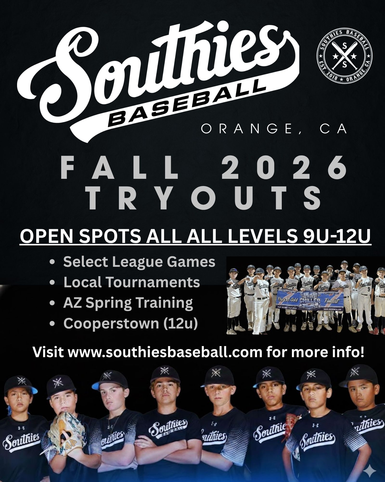 Copy of Southies Media Guide Ad